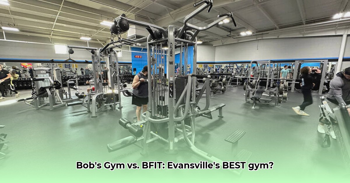 bob-s-gym-north